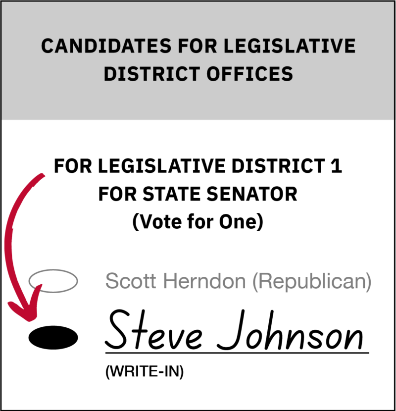 Example of how to write in Steve Johnson on the ballot