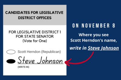 Example of how to write in Steve Johnson's name on the ballot